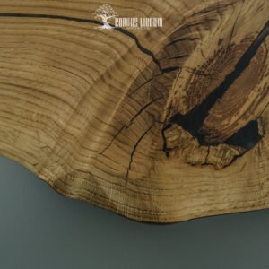 Corvus oak transparent